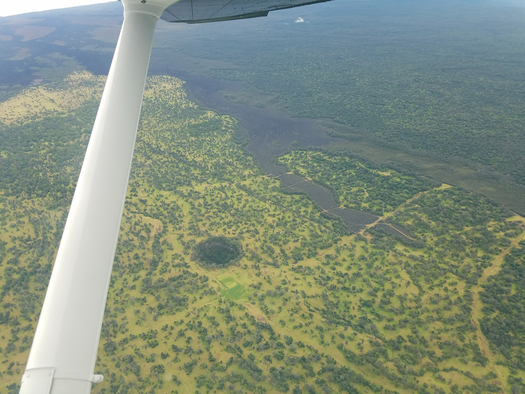 A lava tube amid the Ka'ū Forest Reserve